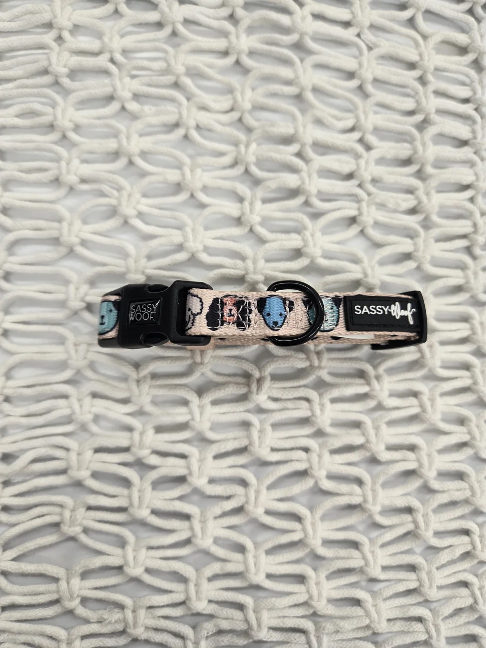 Sassy Woof Pink & Blue Patterned Dog Collar